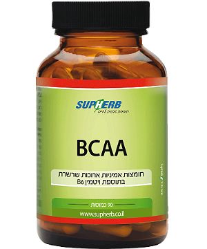 סופהרב חומצות אמיניות BCAA 90 כמוסות SupHerb